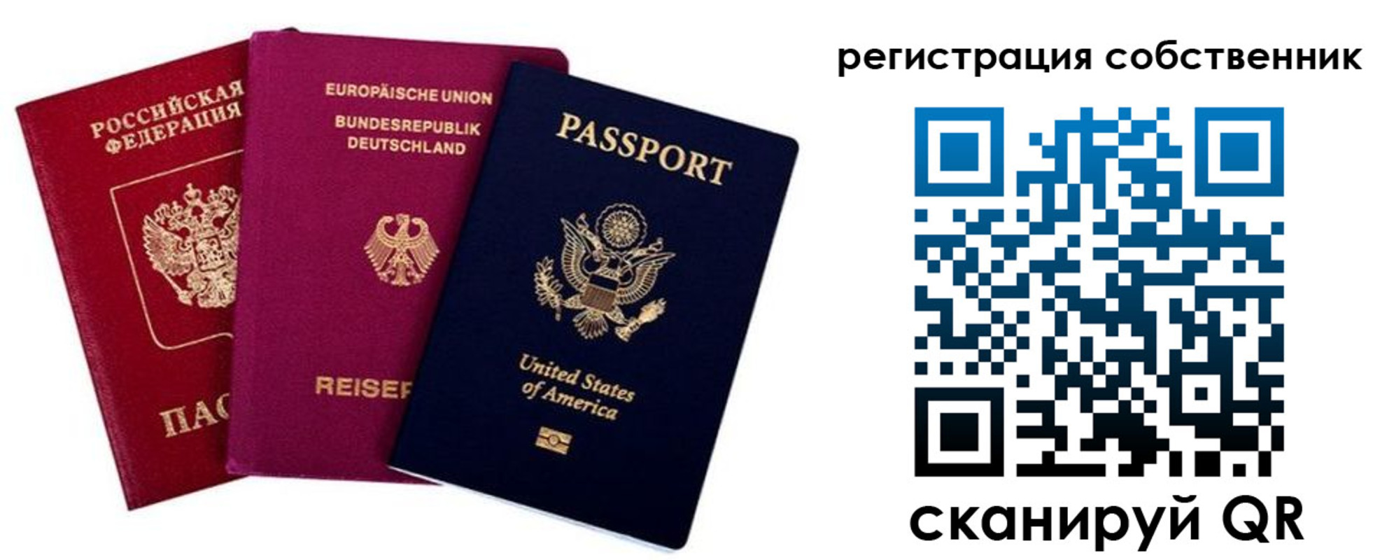 прописка гарантия в Коркино